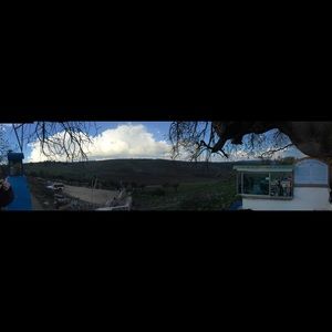 Meet your Posher, Suzanne